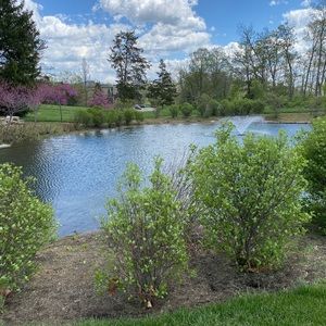 Meet your Posher, Morticia